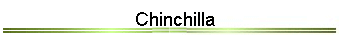 Chinchilla