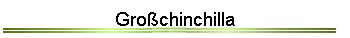 Grochinchilla