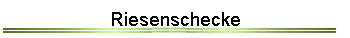 Riesenschecke