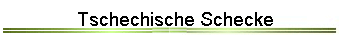 Tschechische Schecke